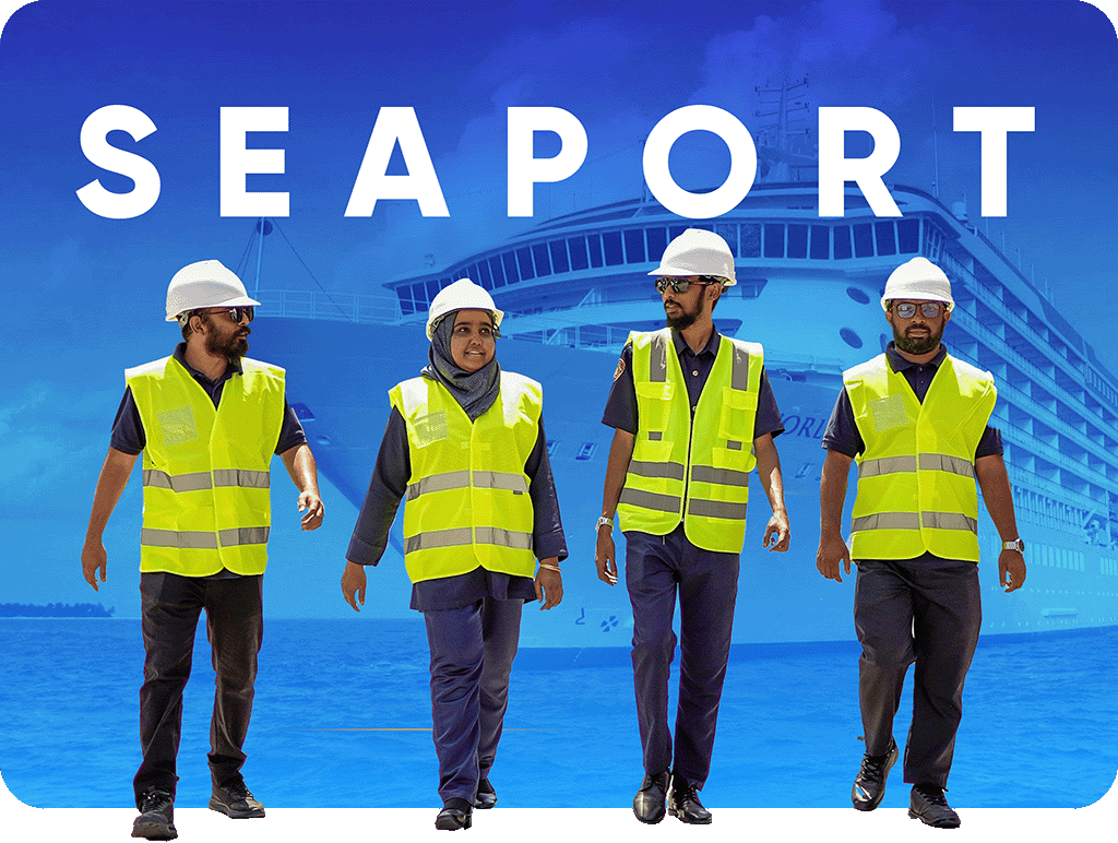 Seaport immigration officers and a cruise ship