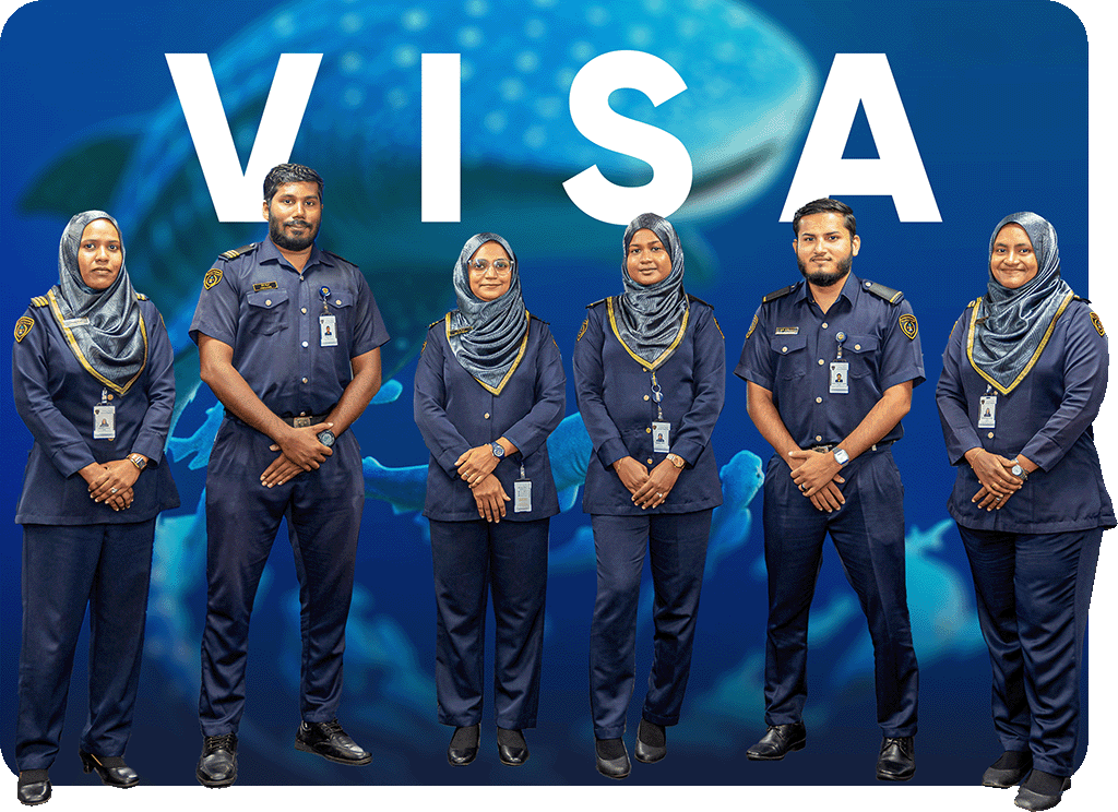 Visa services and enforcement